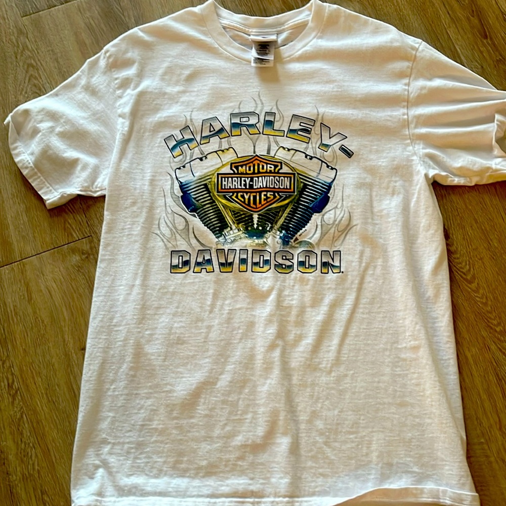Harley Davidson Tee Shirt. Size says large but fits like a medium.